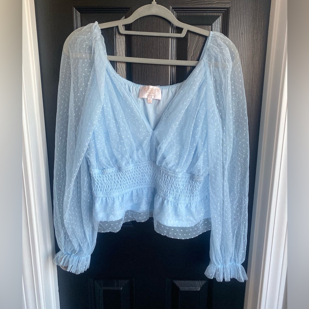 Audrey Parks Francesca’s Soft Blue Tulle Blouse Sheer Long-Sleeve Crop-Size L